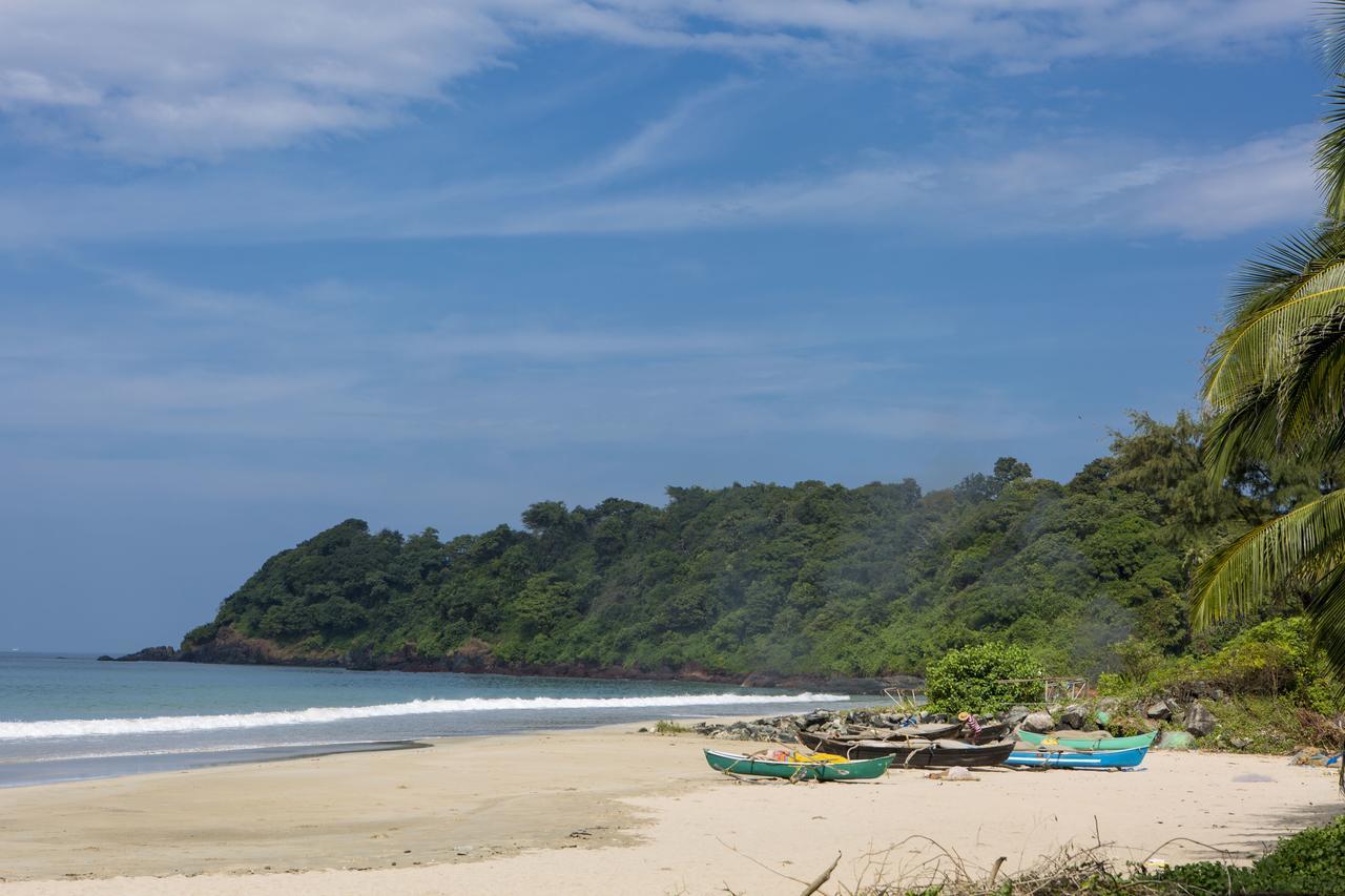 Talpona Paradise Beach House Canacona Eksteriør billede