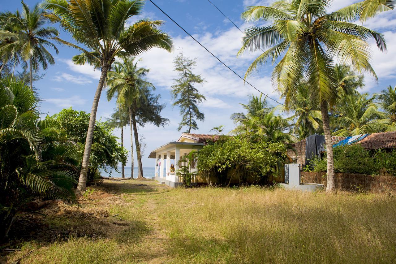Talpona Paradise Beach House Canacona Eksteriør billede