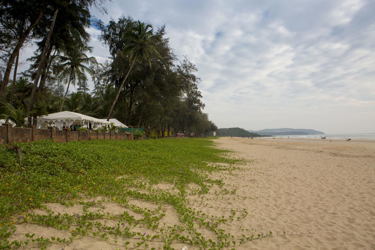 Talpona Paradise Beach House Canacona Eksteriør billede