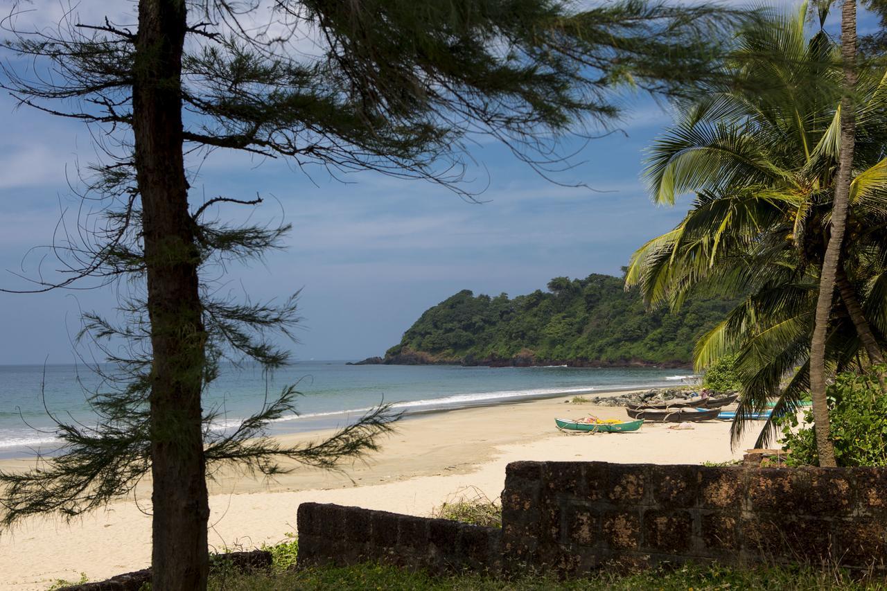 Talpona Paradise Beach House Canacona Eksteriør billede